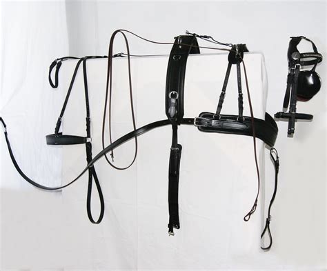 Comfy Fit Harness – Cob – Horse – Draft Horse - Big Black Horse, LLC