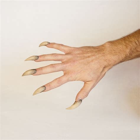 Complete Your Werewolf Costume With These Resin Werewolf Claws