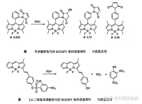 马来酸酐 2 4 二硝基苯磺酸修饰BODIPY荧光染料及吲哚杂环BODIPY荧光探针检测巯基 知乎