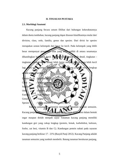 PDF II TINJAUAN PUSTAKA 2 1 Morfologi Anatomieprints Umm Ac Id