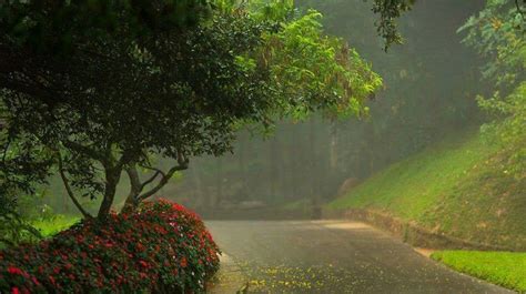 Hakgala Botanical Garden - Mahaweli Tours & Holidays Sri Lanka