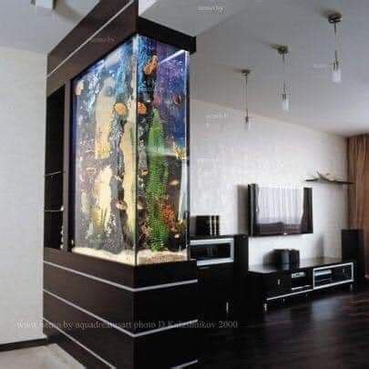 Outstanding Aquariam Decoration Ideas Aquariam Wall Bubble Wall