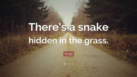 Virgil Quote Theres A Snake Hidden In The Grass