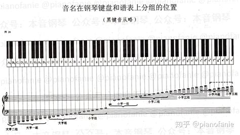 乐理音的属性是什么 知乎