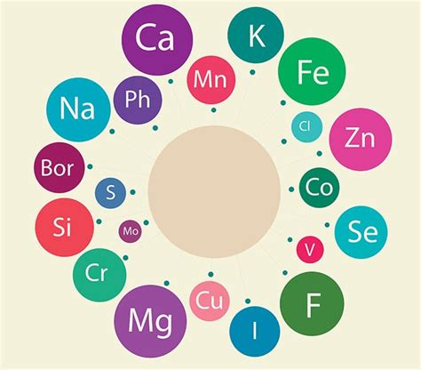 A Guide To Micronutrients Recommendations Sources Nasm