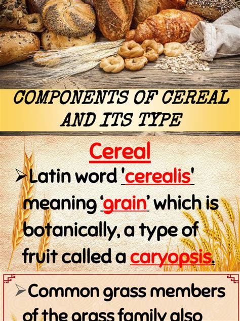 Components Types and Nutritiative Value of Cereals | PDF | Cereals | Whole Grain