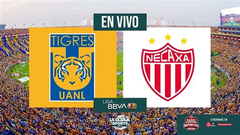 EN VIVO TIGRES VS NECAXA LIGA MX LA OCTAVA SPORTS YouTube