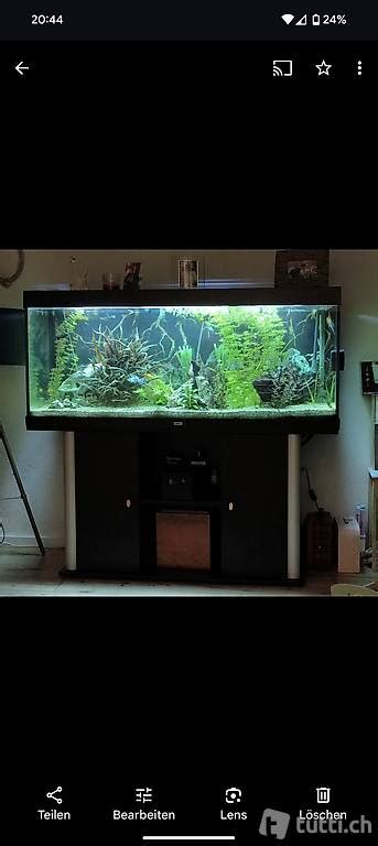 Juwel Aquarium 450l Komplett mit zwei Filter und Zubehör im Kanton