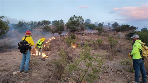 Rompe Sonora R Cord En Incendios Forestales Michelle Rivera