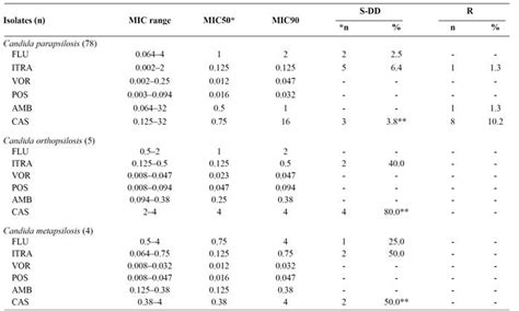 Scielo Brasil Molecular Identification And Antifungal