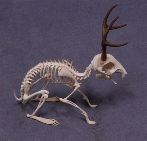 Jackalope Skeleton Dapper Cadaver Props