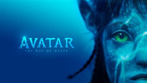 Whaling scene in ‘Avatar’ and real whale hunting | OceanCare