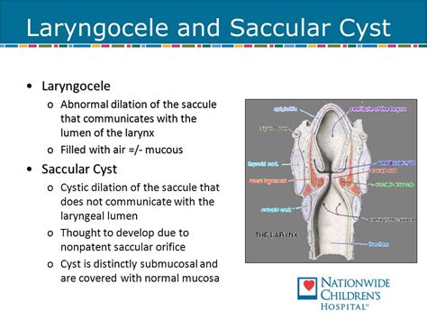 Saccular Cyst