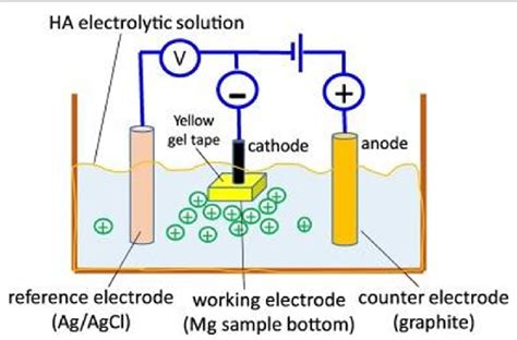 Schematic Of Electrodeposition Technique Reprinted With Permission