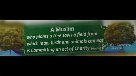 Hadees About Trees Youtube