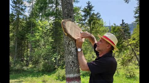 Sonnenlicht Kraftstation der Licht Quell Alm Naturschätze Bad