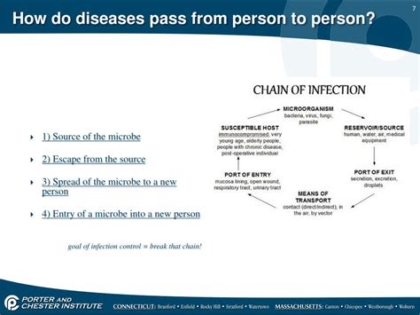 Ppt Modes Of Disease Transmission Powerpoint Presentation Free