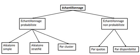 Les techniques d échantillonnage Diagram Quizlet