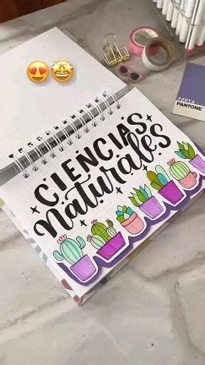 63 Ideas De Separadores De Bimestres Portada De Cuaderno De Dibujos