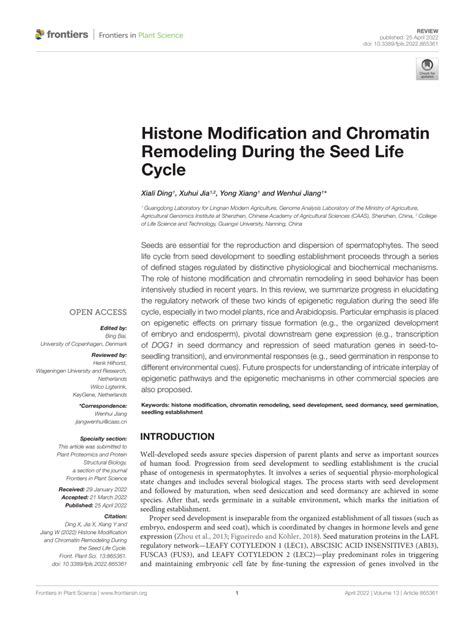 (PDF) Histone Modification and Chromatin Remodeling During the Seed Life Cycle