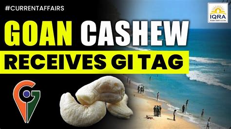 Gi Tag Goan Cashew Gets Gi Tag Newsthisweek Youtube