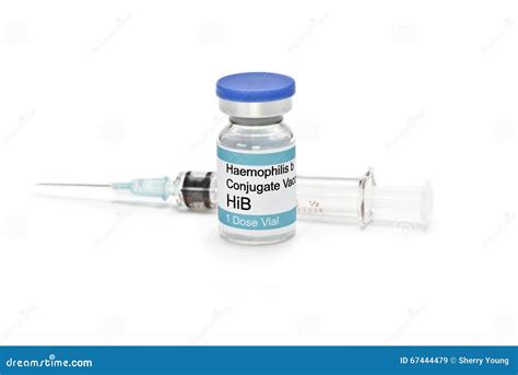 Haemophilus Vaccine Royalty-Free Stock Image | CartoonDealer.com #65002450