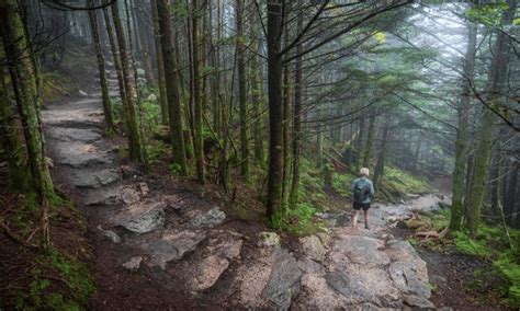 10 Easy Hiking Trails For Beginners In 2023