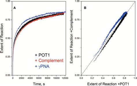 Kinetics Of G Quadruplex Unfolding By POT1 And DNA Or PNA Complementary