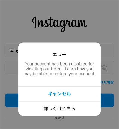 Instagramアカウントが一時停止されました acco chouchouのブログ