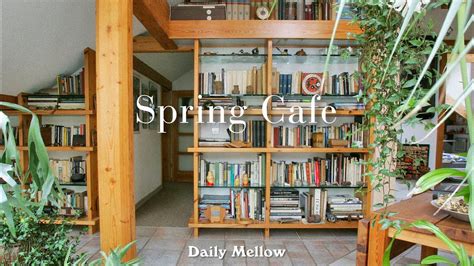 꽃피는 봄이 오면 생각나는 연주곡 따뜻한 봄이 피아노 연주곡 Spring Cafe Daily Mellow YouTube