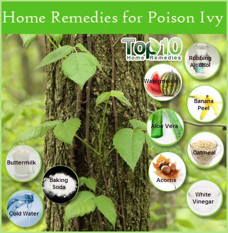 Home Remedies for Poison Ivy | Top 10 Home Remedies