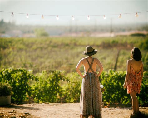 Best Ensenada Wine Tours - Mexico Travel Buddy