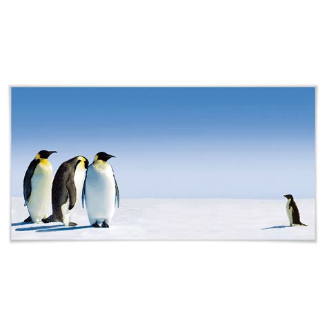 Poster Penguin | wall-art.com