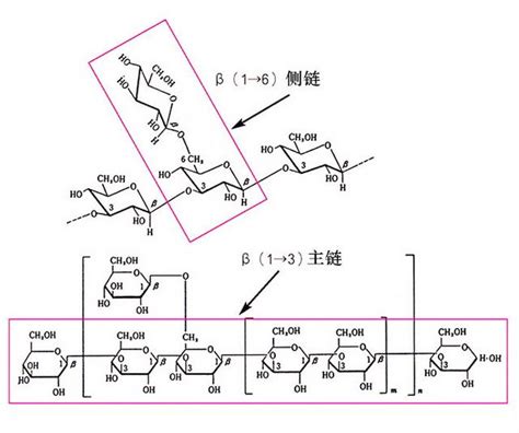 全方位解读灵芝中的粗多糖 每日头条