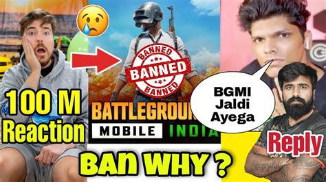 Bgmi Banned In India Why Many Reasons Youtubers React On Mrbeast