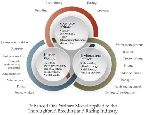 Sustainability And The Thoroughbred Breeding And Racing Industries An Enhanced One Welfare