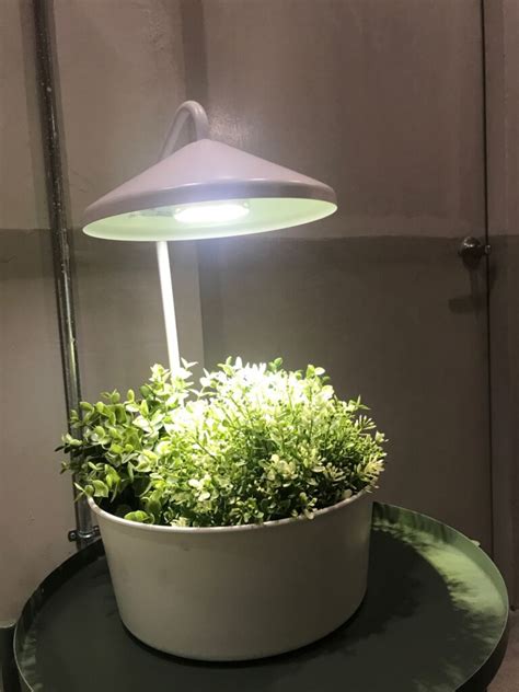 Indoor Plant Light Guide Grow Lights