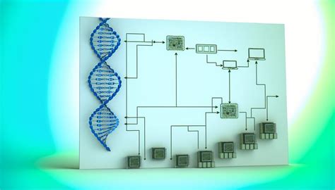 Implementing Machine Learning Through Genetic Algorithms: A Guide ...