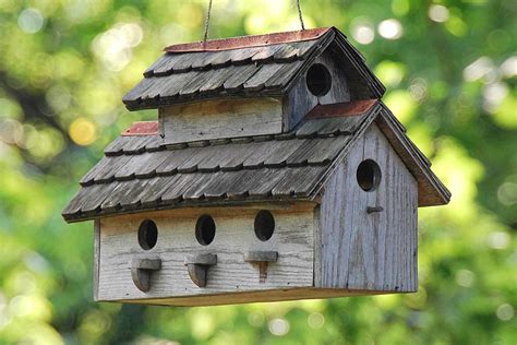 Homemade Bird Houses Decoration