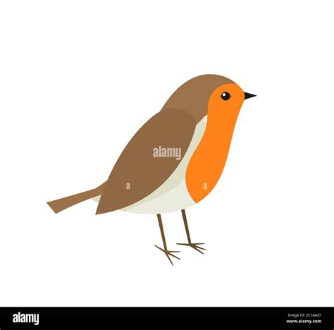 Cute Robin Bird Vector Illustration Stock Vector Image And Art Alamy