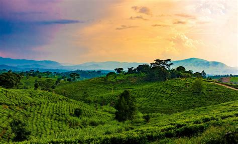 Voyage Au Rwanda Le Pays Aux Mille Collines Voyages A Deux