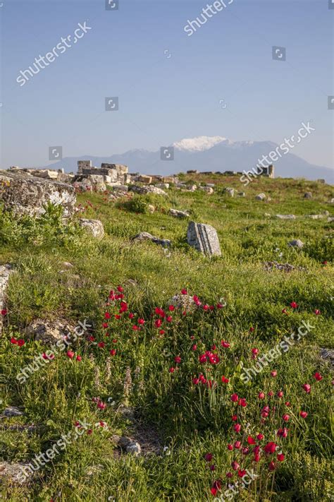 Remains Ruins Hierapolis Hieropolis Near Pamukkale Editorial Stock