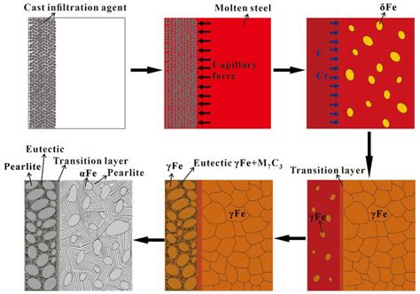 Schematic Diagram Of The Microstructure Evolution Of The Surface Download Scientific Diagram