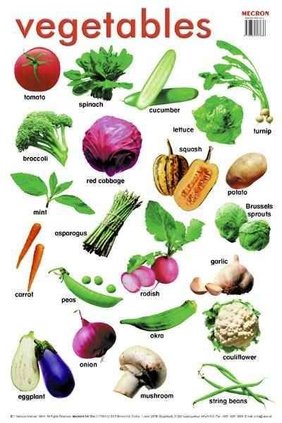 Vegetable Chart English Vocabulary Green Vegetables Name Vegetables