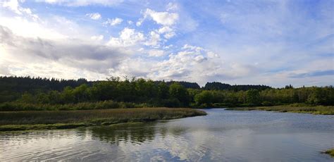 Union River Under High Tide From The Hood Canal The River Flickr