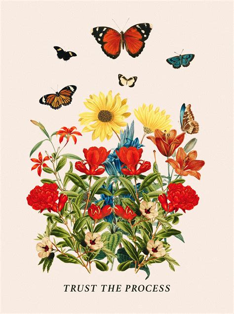 Vintage Butterfly Wallpapers - Top Free Vintage Butterfly Backgrounds - WallpaperAccess