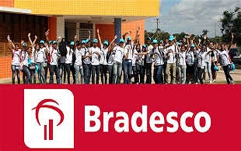 Funda O Bradesco Abre Mais De Cursos Gratuitos