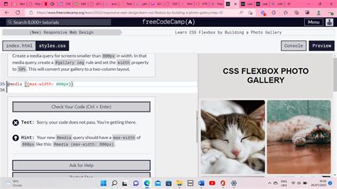 Learn Css Flexbox By Building A Photo Gallery Step 20 Html Css