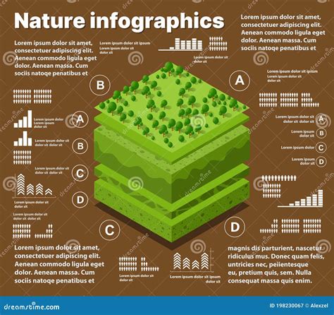 Infographics Nature Geological And Underground Layers Of Soil Under The