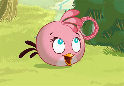 Pink Bird - Angry Birds Photo (31782363) - Fanpop